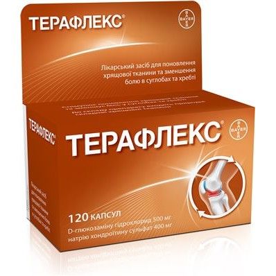 Терафлекс. капсулы 500 мг 120 шт