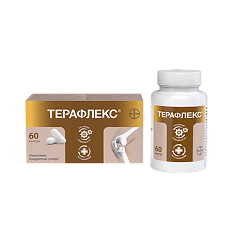 Терафлекс капсулы 500 мг 60 шт