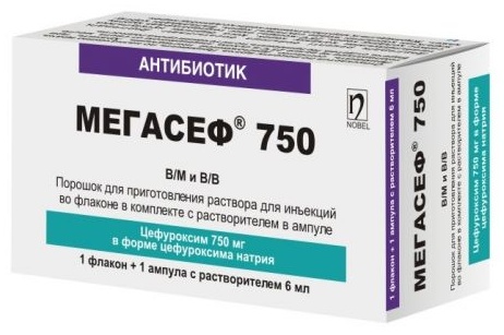 Мегасеф порошок 750 мг 1 шт