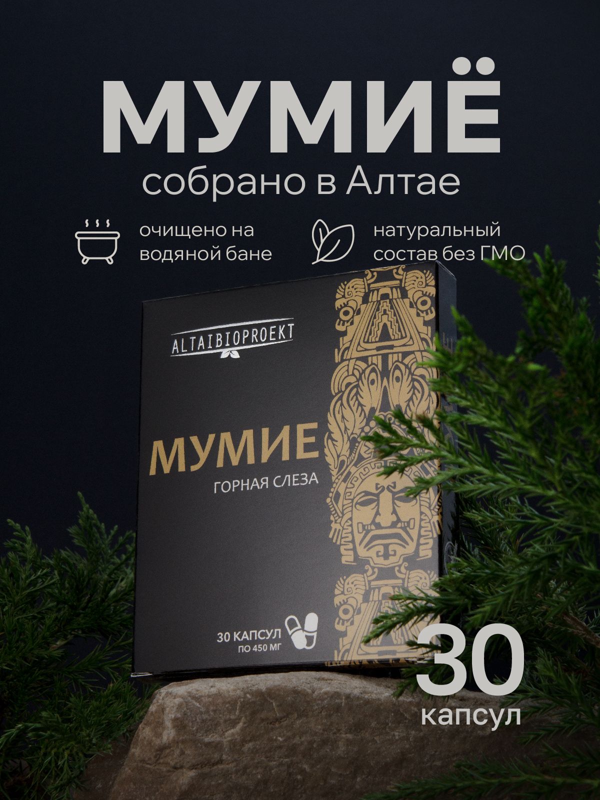 Мумие Алтайское натуральное таблетки 30 шт